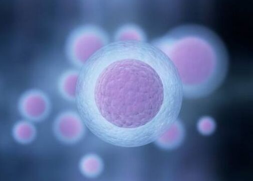 乌鲁木齐助孕中介