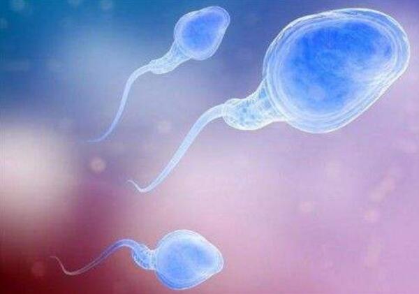 二代人工受孕费用