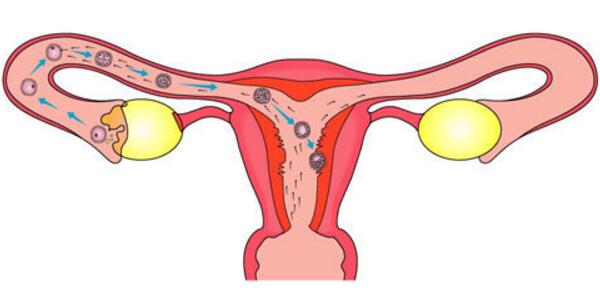 月子里能洗头吗