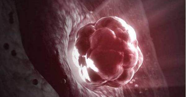 云南省捐卵代孕