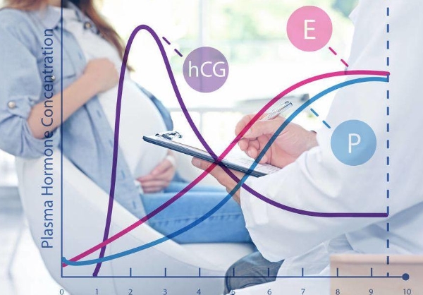 云南国外无偿代孕