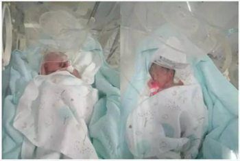 亲子鉴定收费多少