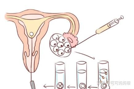 云南可以选男女的试管机构