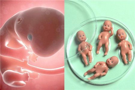 云南借卵试管包性别