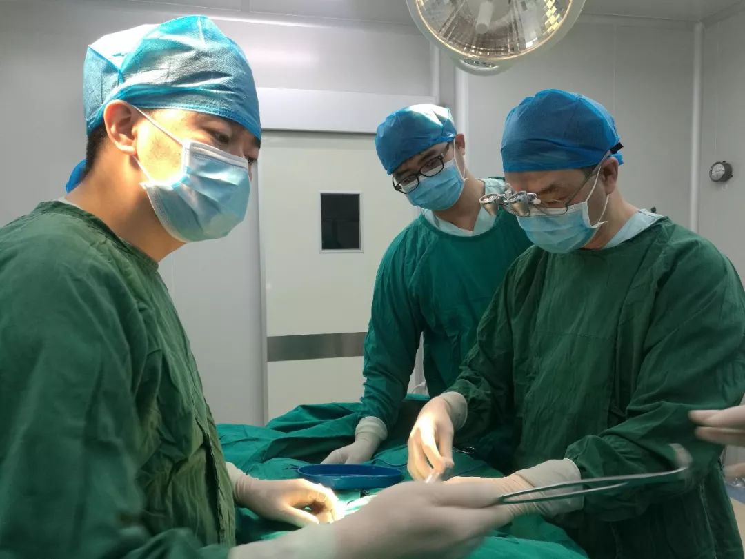 乌克兰供卵合法吗供卵